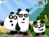 3 Pandas