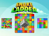 Snake & Ladder Board Game