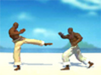 Capoeira Fighter