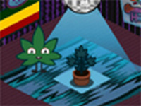 Hemp Tycoon