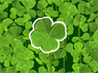 Lucky Clover