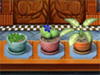 Plant Tycoon