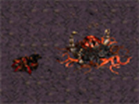 StarCraft FA 5