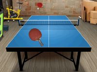 Table Tennis Challenge